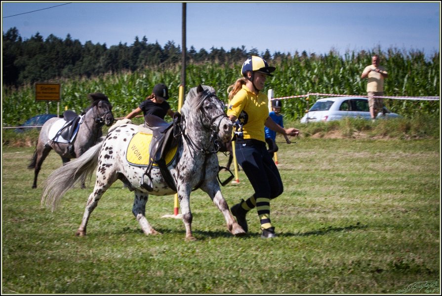 Mounted Games 041